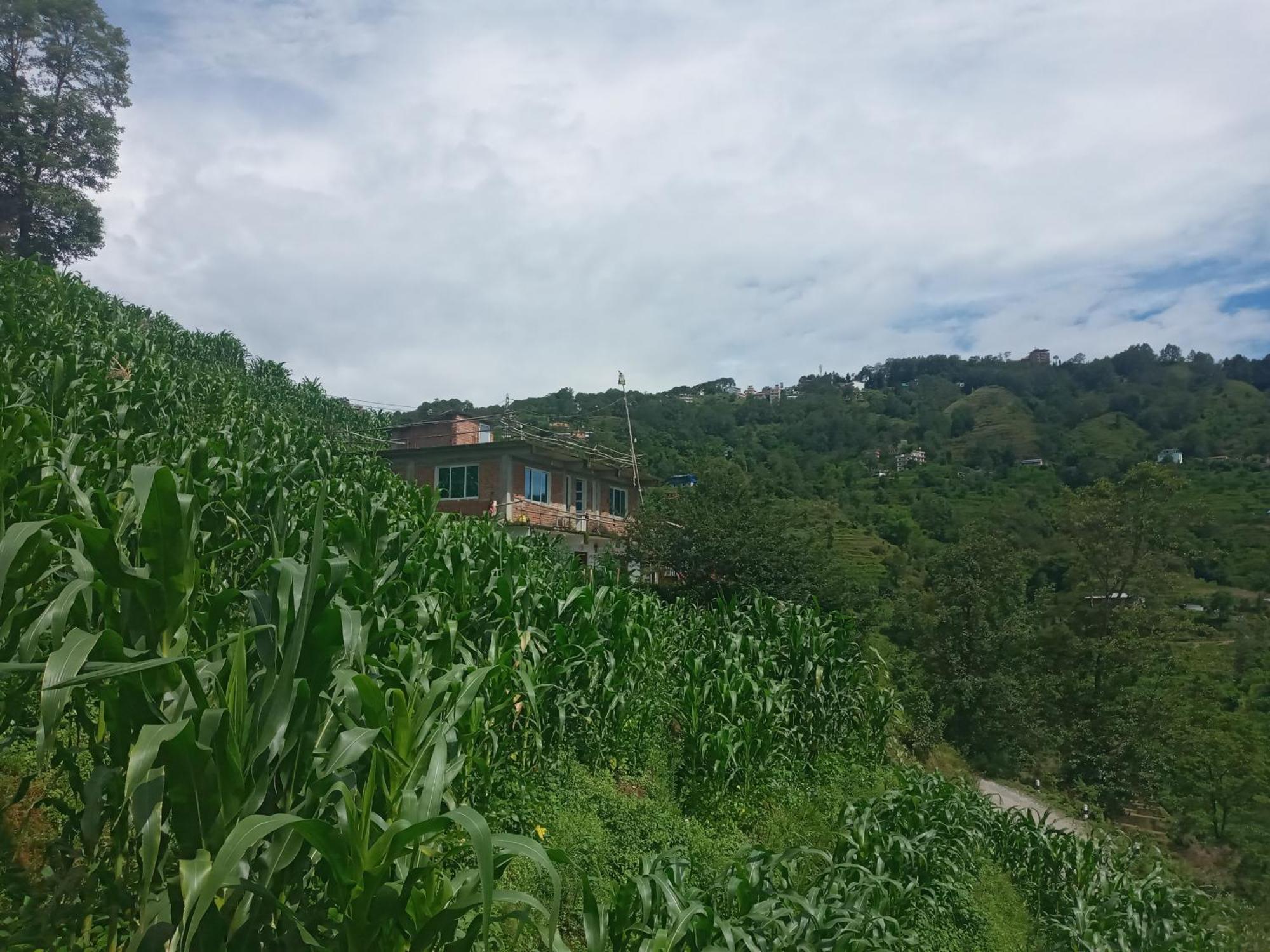 נגאקוט Unique Point Home Stay מראה חיצוני תמונה