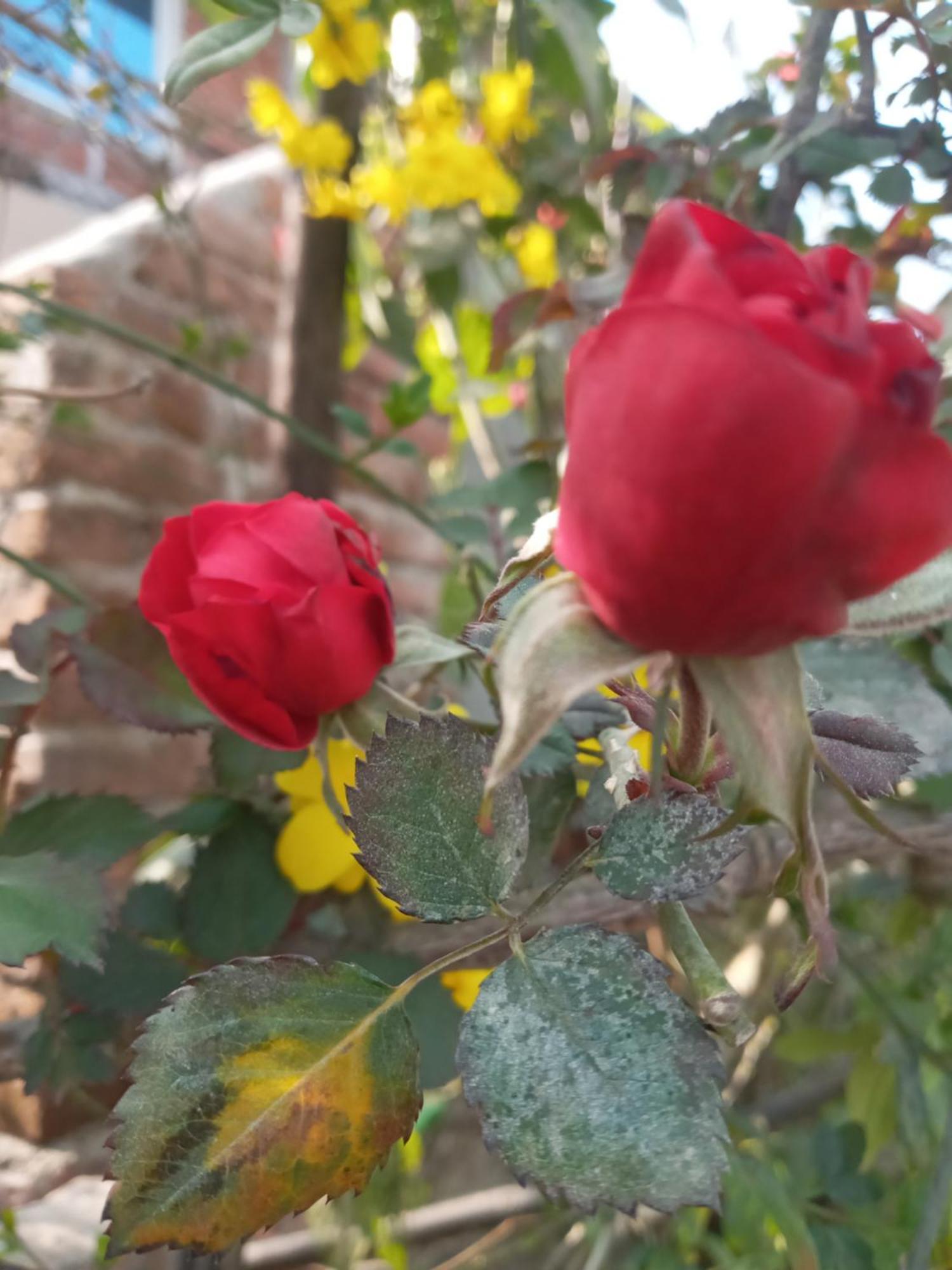נגאקוט Unique Point Home Stay מראה חיצוני תמונה