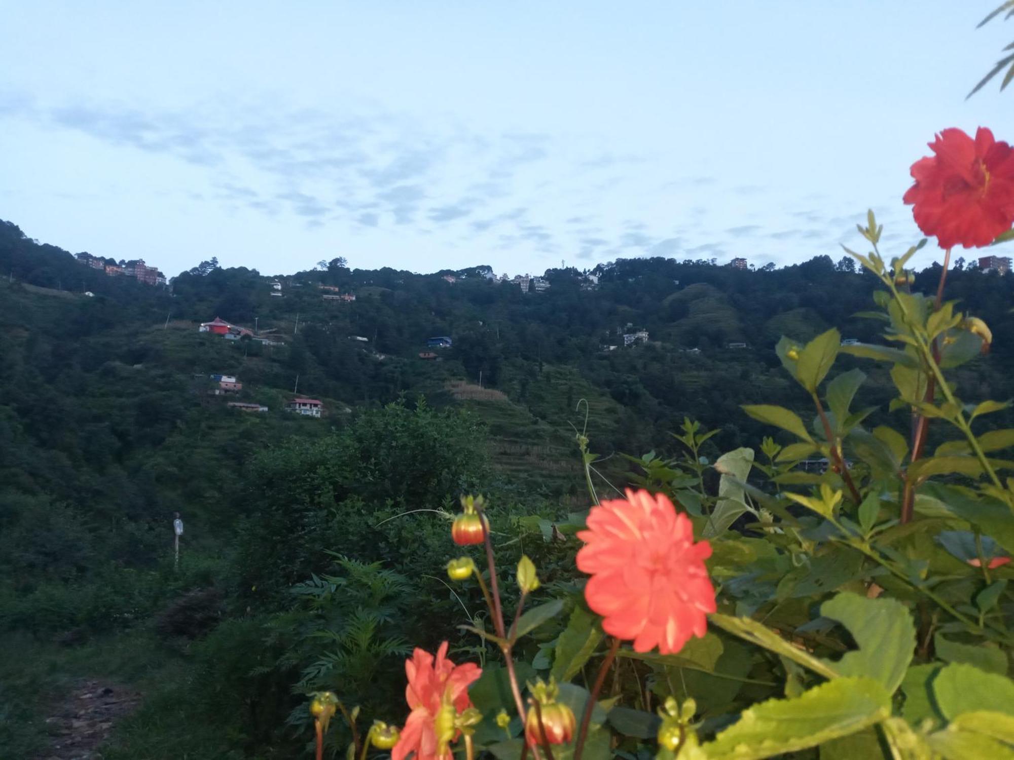 נגאקוט Unique Point Home Stay מראה חיצוני תמונה